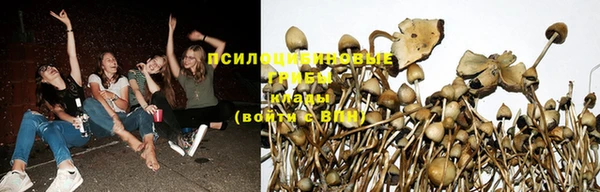 метадон Алзамай