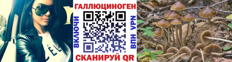 Псилоцибиновые грибы Magic Shrooms Горбатов