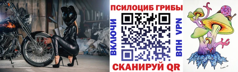 Псилоцибиновые грибы Cubensis  Горбатов 