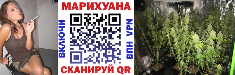 Бошки марихуана SATIVA & INDICA  Горбатов 